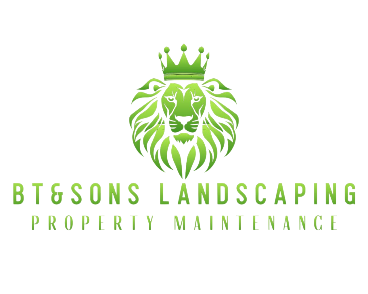 BT&SONS Landscaping