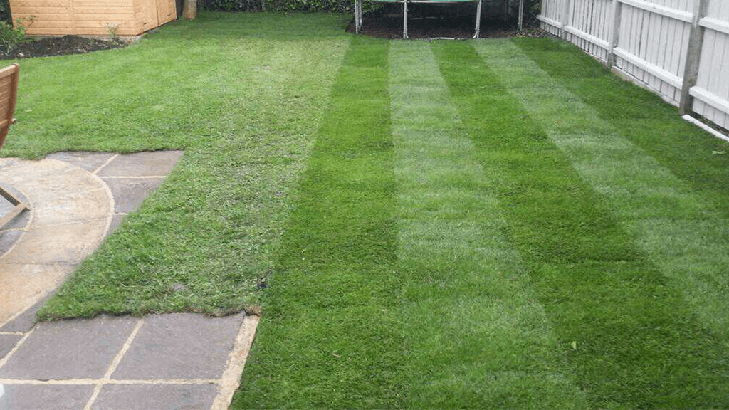 Fresh turf in family garden